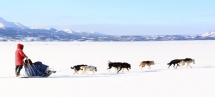 Hundeschlittenfahrt über den Lake Laberge in Yukon, © Government of Yukon